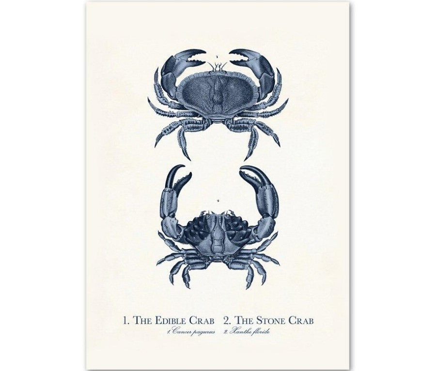 Sea Life Canvas Paintings (9 Pack)