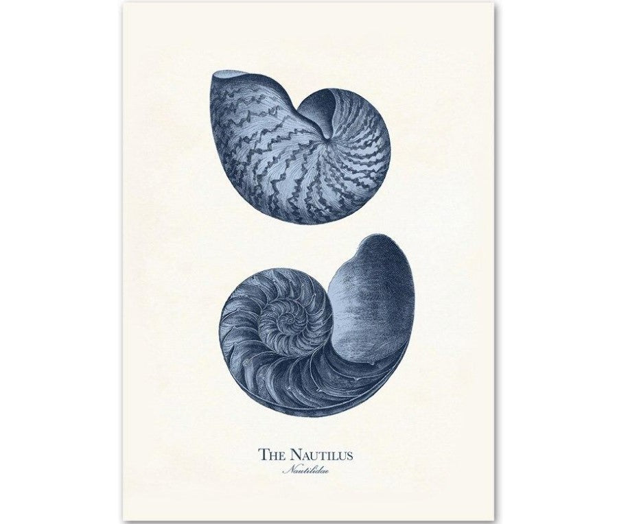 Sea Life Canvas Paintings (9 Pack)