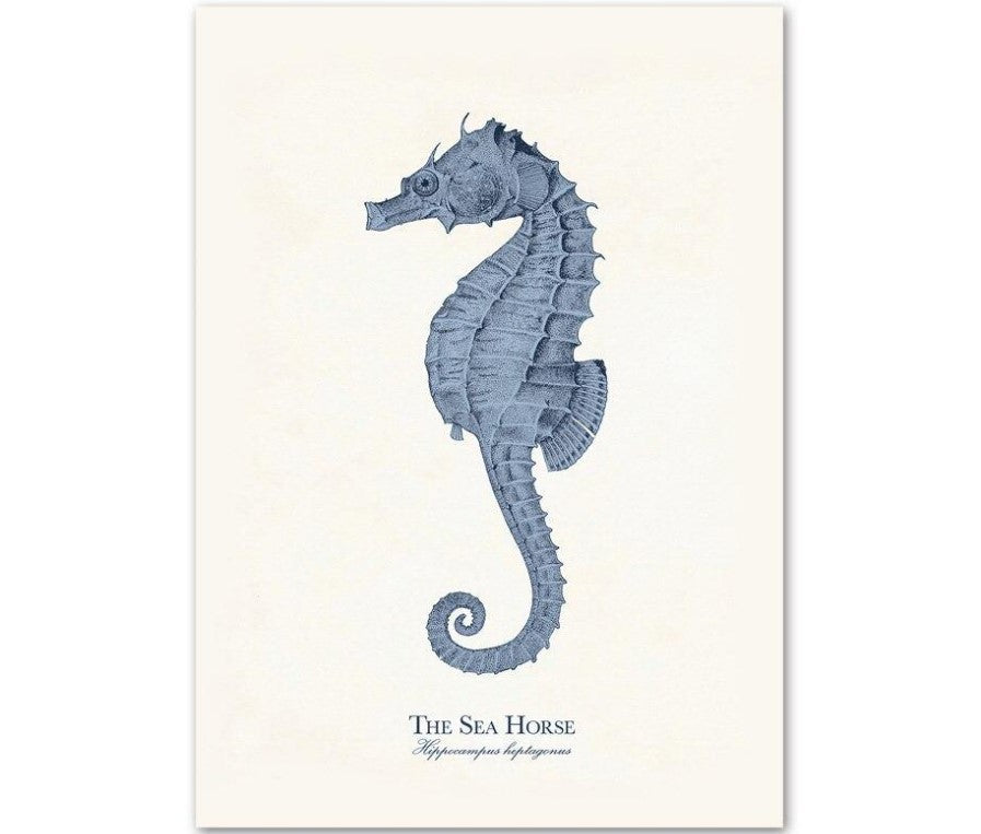 Sea Life Canvas Paintings (9 Pack)