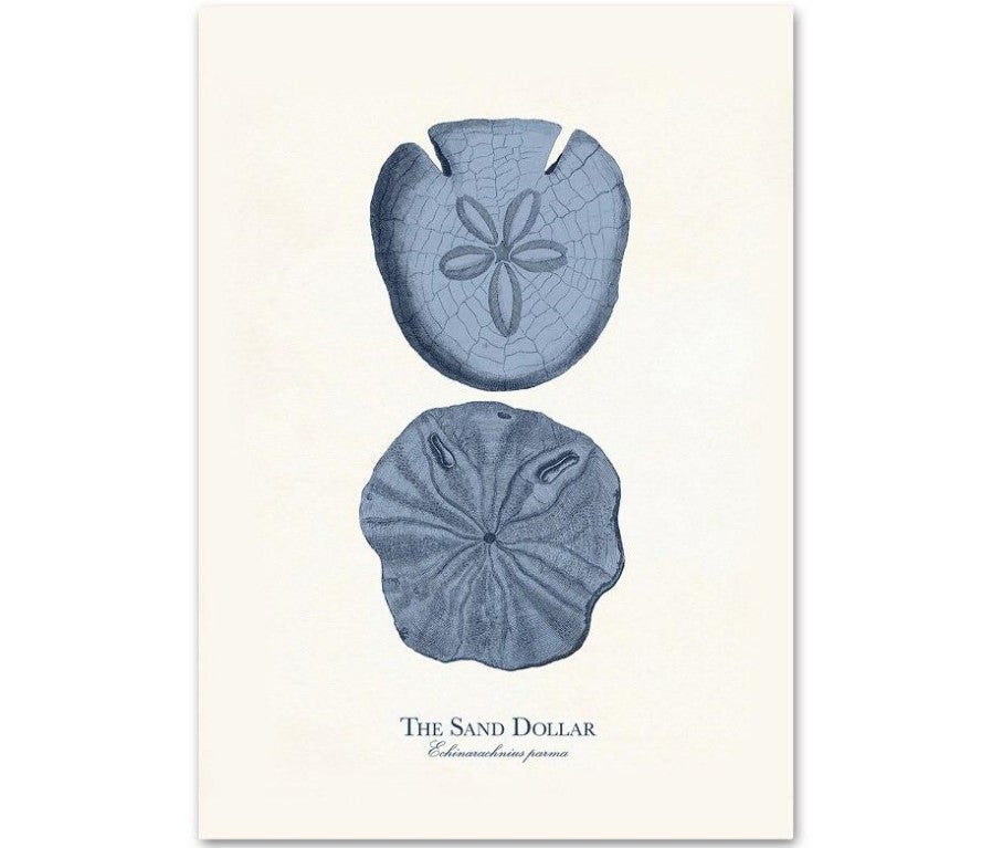 Sea Life Canvas Paintings (9 Pack)